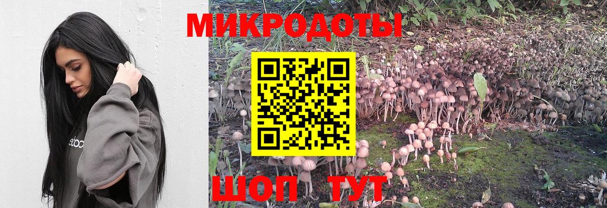 Галлюциногенные грибы мицелий Полысаево