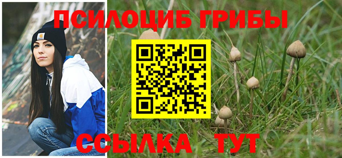где продают наркотики  Псилоцибиновые грибы мицелий  Вход с VPN  Полысаево 